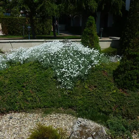 Apartament Private Sveti Vlas